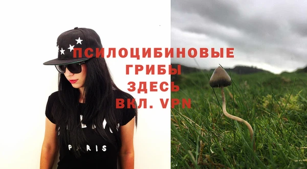 стаф Лагань