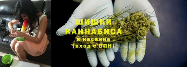гидра Ладушкин