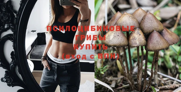 стаф Лагань