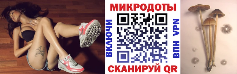 Галлюциногенные грибы прущие грибы сайты даркнета какой сайт Звенигово