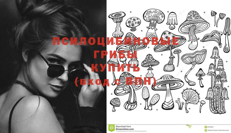 Псилоцибиновые грибы мицелий  Звенигово 